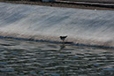 IMG_3808
