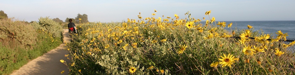 Manzanita village Trail to Depressions