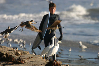 surf picture