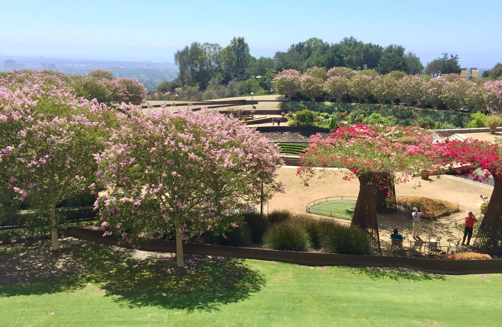 Flowering gardens at the Getty Museum