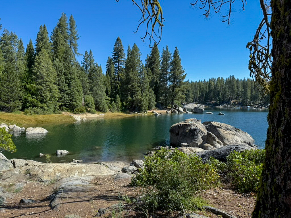 Shaver Lake in 2025