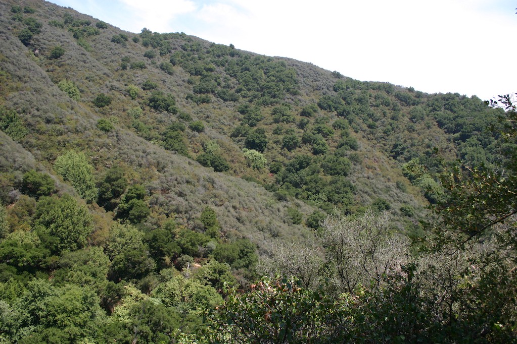 Rattlesnake Canyon