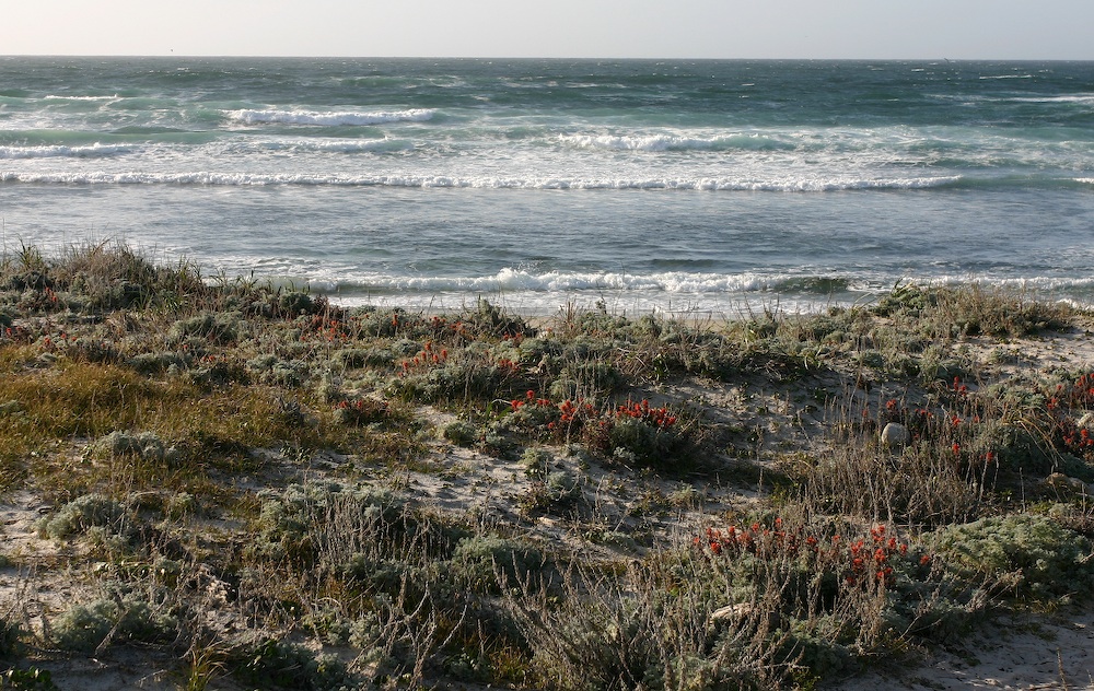 Asilomar 