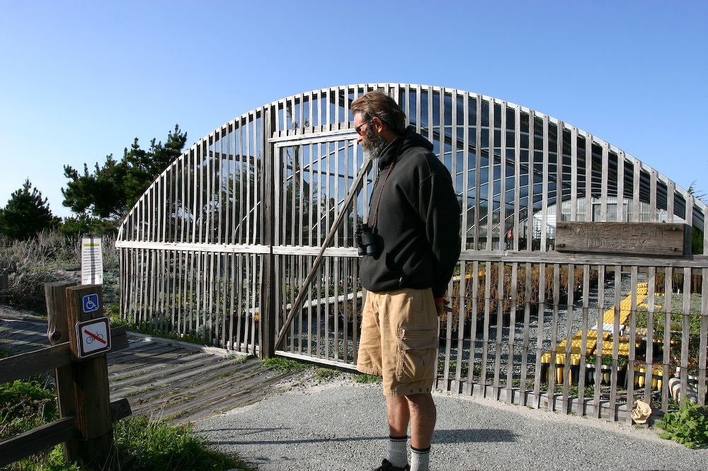 Asilomar Native Plant Nursery