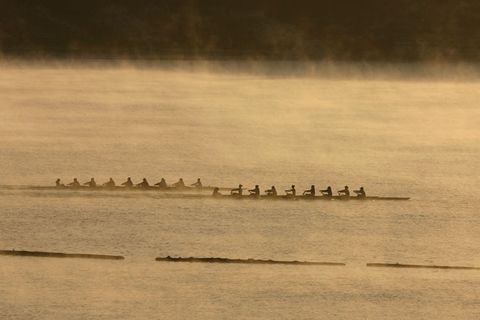 Lake Cachuma - rowers in the mist