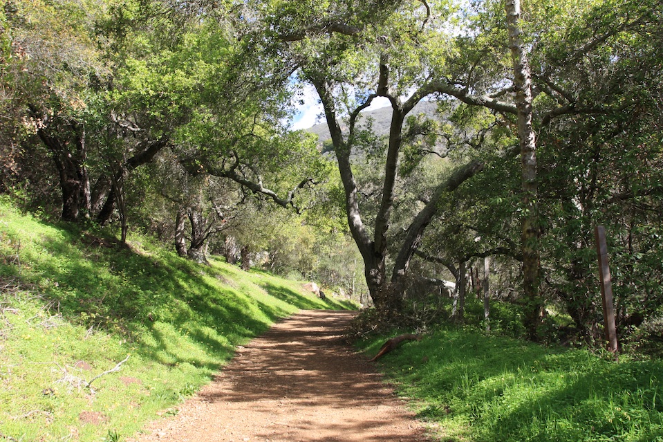 Romero Canyon, Montecito Foothills