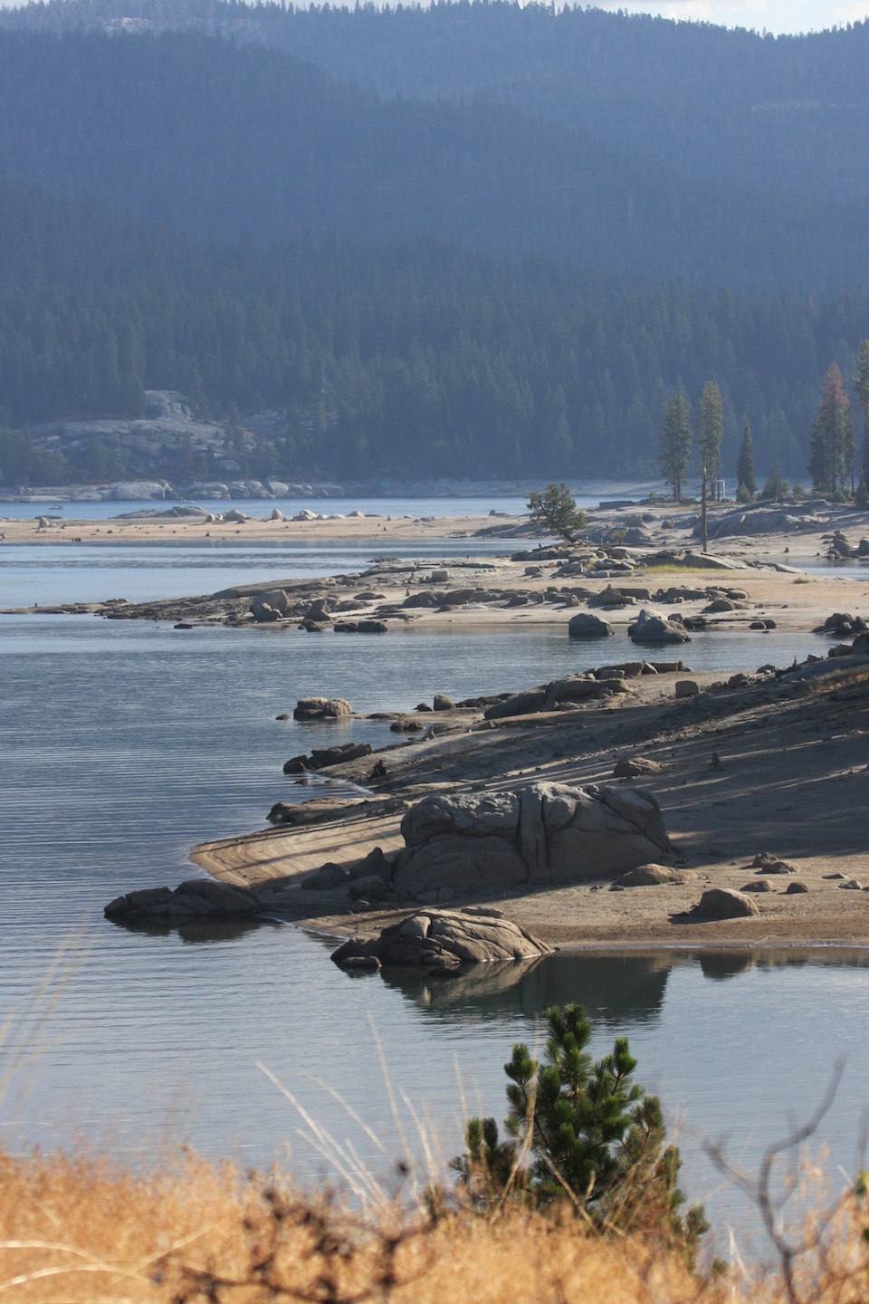 Shaver Lake August 2008