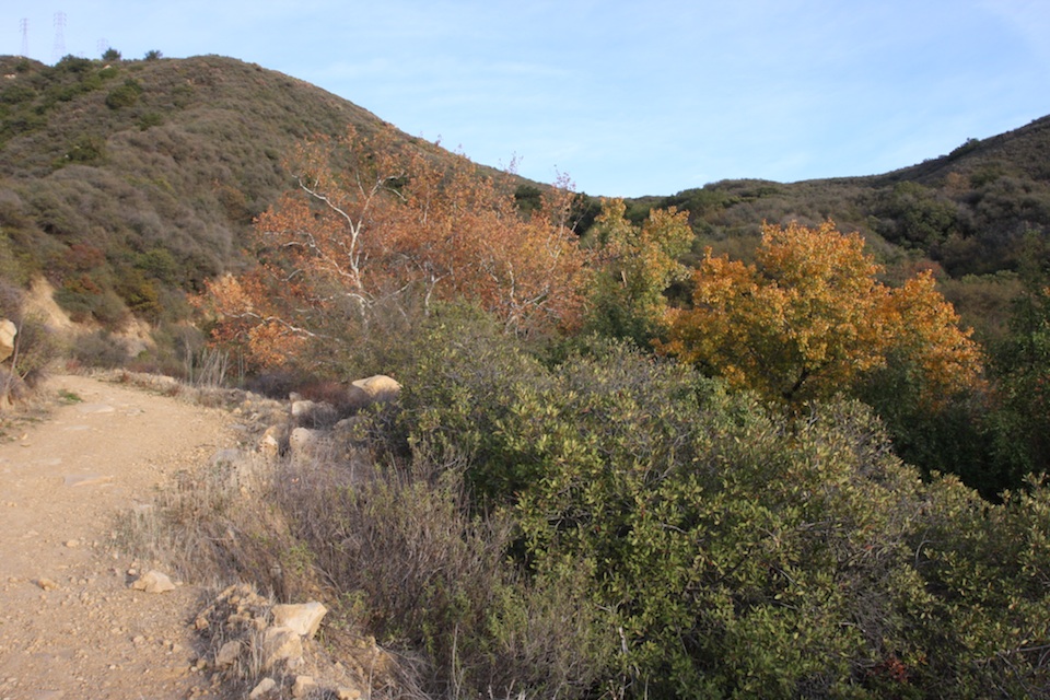 Tunnel Trail - Mission Canyon, Santa Barbara, CA