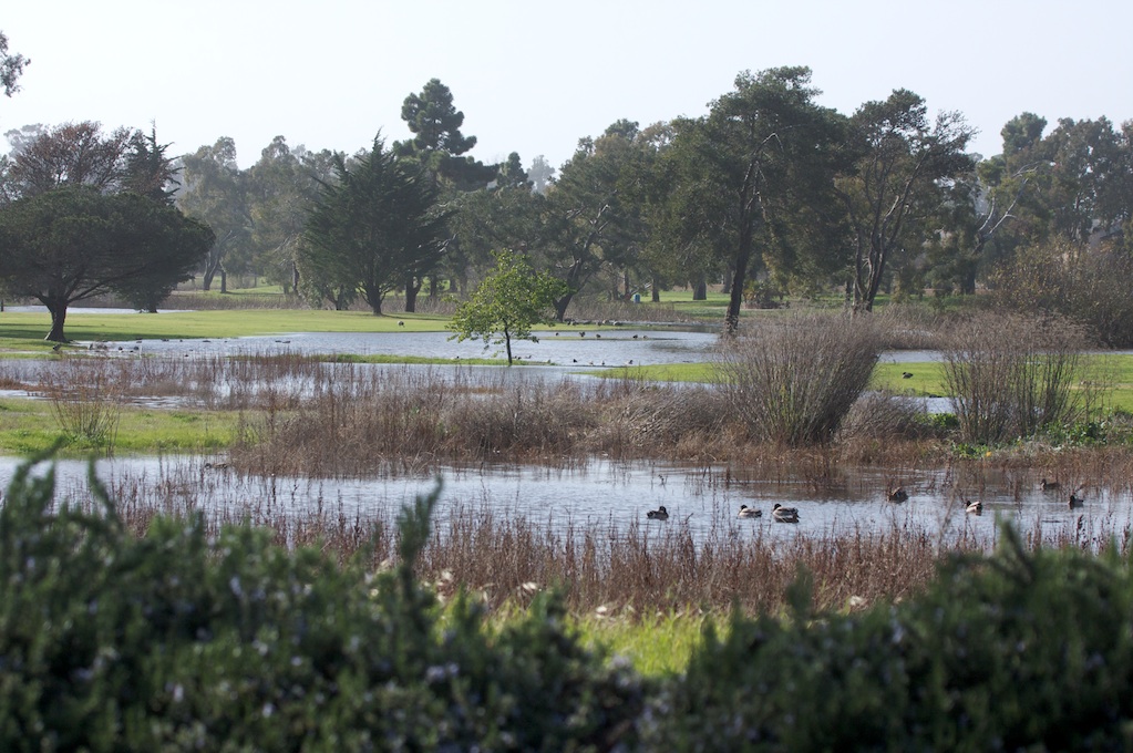 Ocean Meadows Golf Course