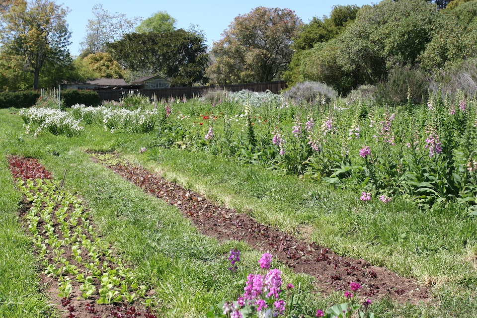 Yankee Farm - Spring Time